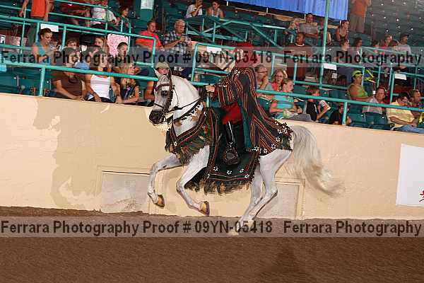 Proof 09yn-05418