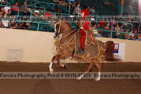 Proof 09yn-05419