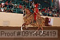 09yn-05419 proof