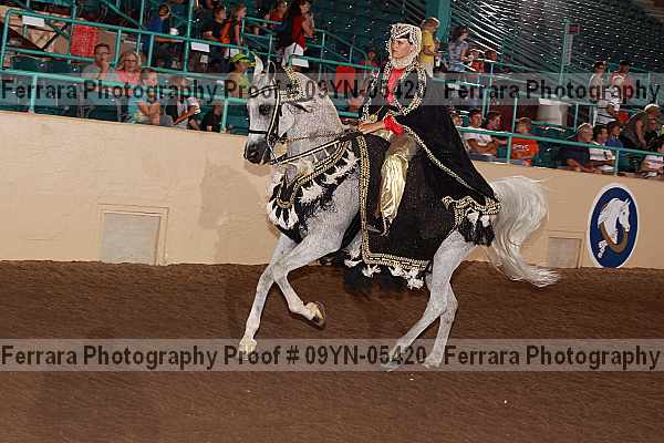Proof 09yn-05420