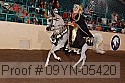 09yn-05420 proof