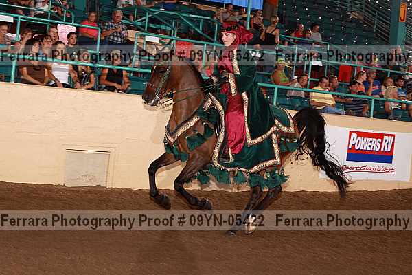 Proof 09yn-05422
