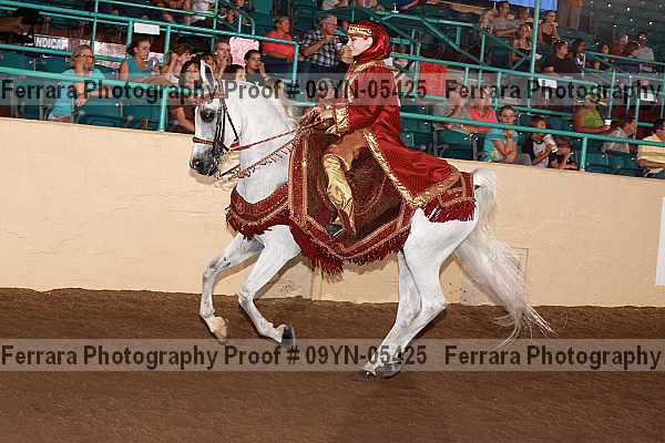 Proof 09yn-05425