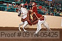 09yn-05425 proof