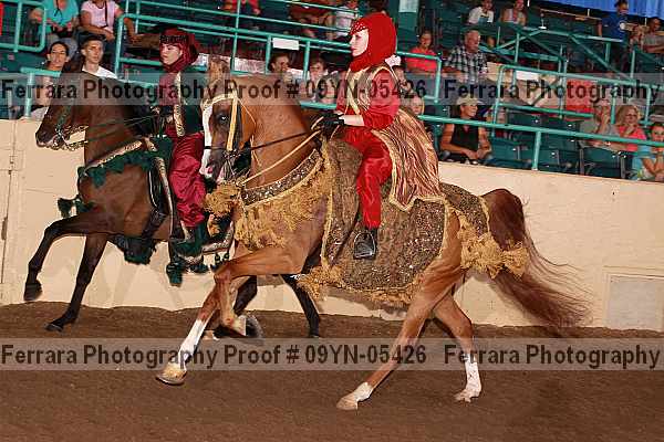 Proof 09yn-05426