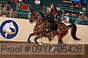 09yn-05428 proof