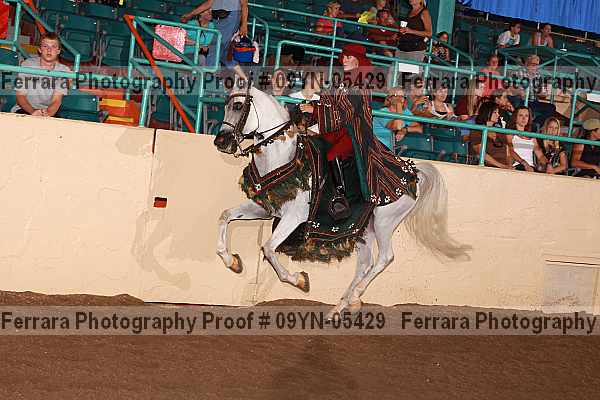 Proof 09yn-05429