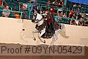 09yn-05429 proof