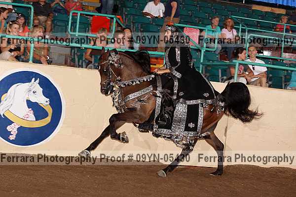 Proof 09yn-05430