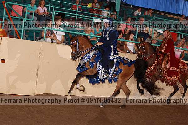 Proof 09yn-05432