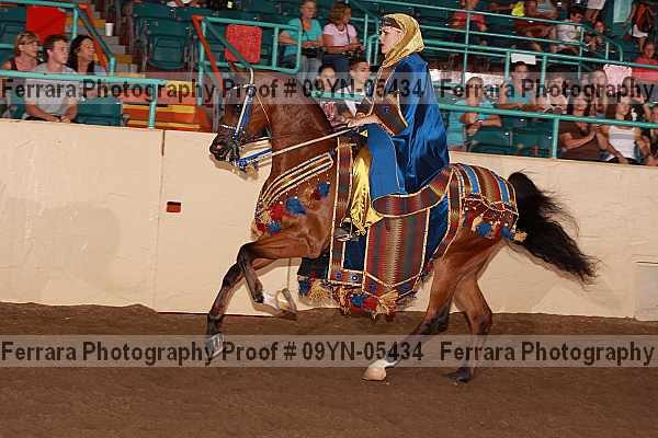 Proof 09yn-05434