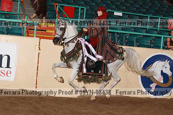 Proof 09yn-05438