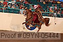 09yn-05444 proof