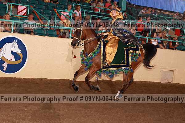 Proof 09yn-05446