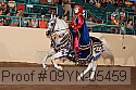 09yn-05459 proof