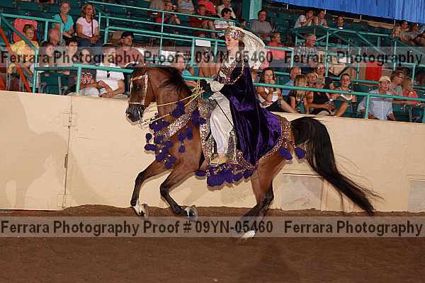 Proof 09yn-05460