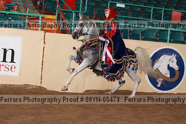 Proof 09yn-05473