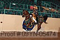 09yn-05474 proof