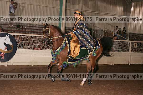 Proof 09yn-14175