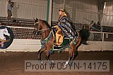 09yn-14175 proof
