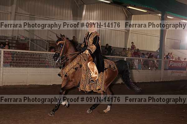 Proof 09yn-14176