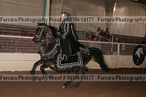 Proof 09yn-14177