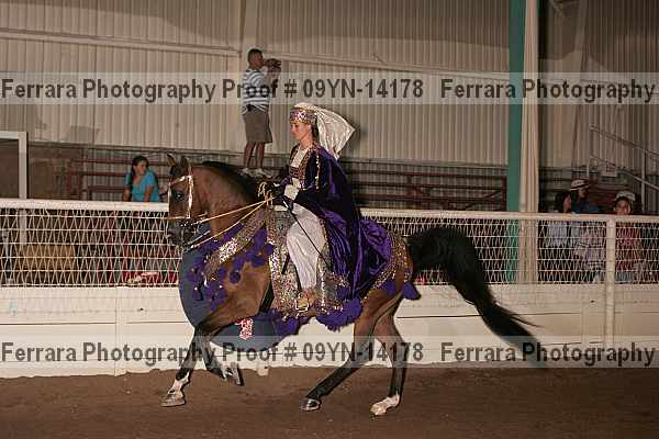 Proof 09yn-14178