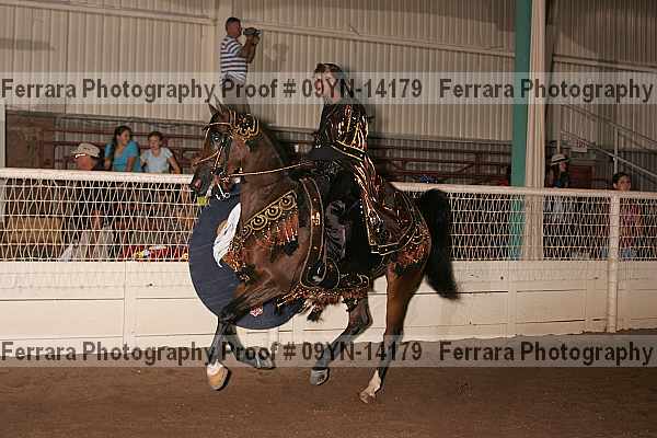 Proof 09yn-14179
