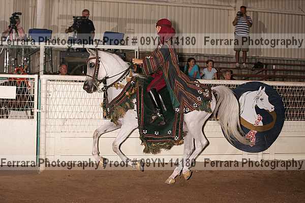 Proof 09yn-14180