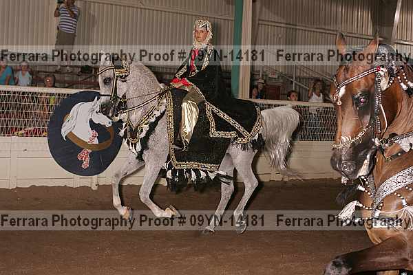 Proof 09yn-14181