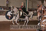 09yn-14181 proof