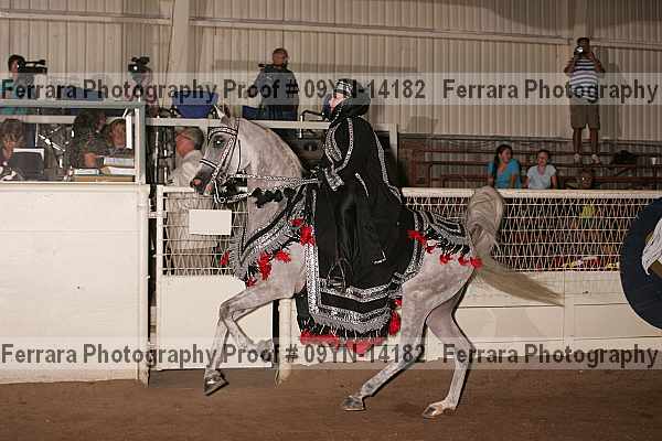 Proof 09yn-14182