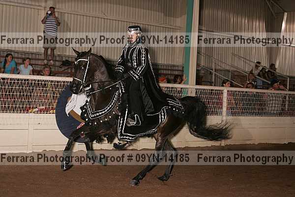 Proof 09yn-14185