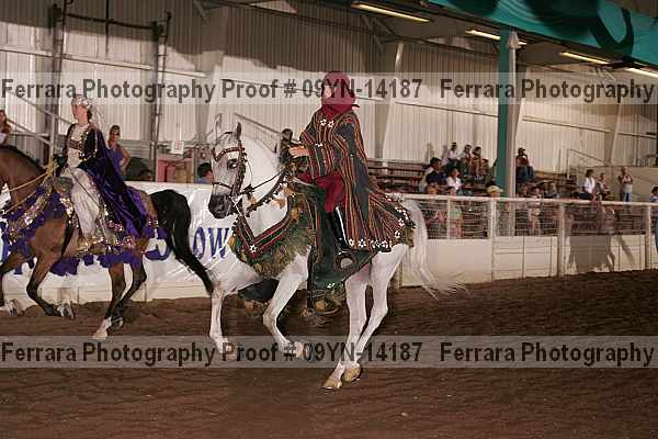 Proof 09yn-14187
