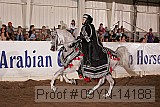 09yn-14188 proof