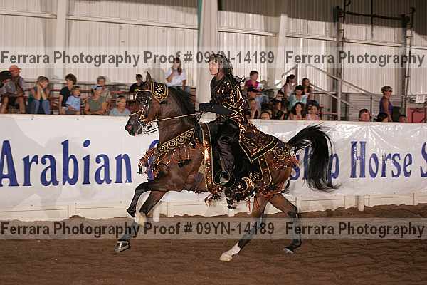 Proof 09yn-14189