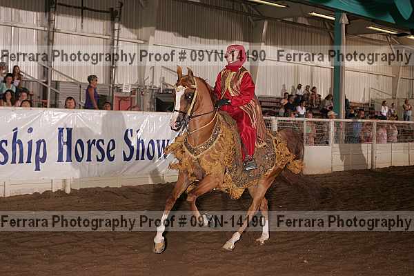 Proof 09yn-14190