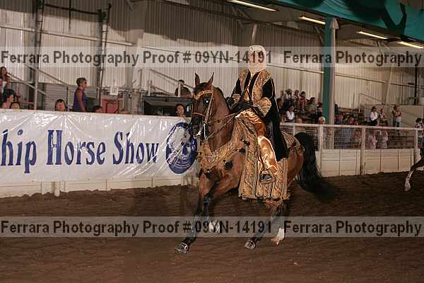 Proof 09yn-14191