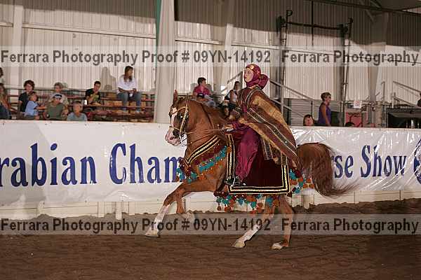 Proof 09yn-14192