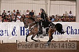 09yn-14193 proof
