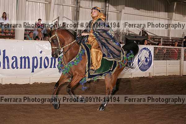 Proof 09yn-14194