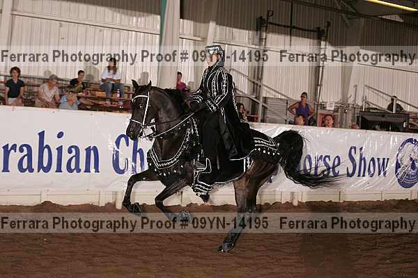 Proof 09yn-14195