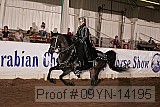 09yn-14195 proof