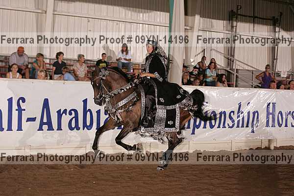 Proof 09yn-14196