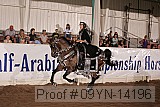 09yn-14196 proof
