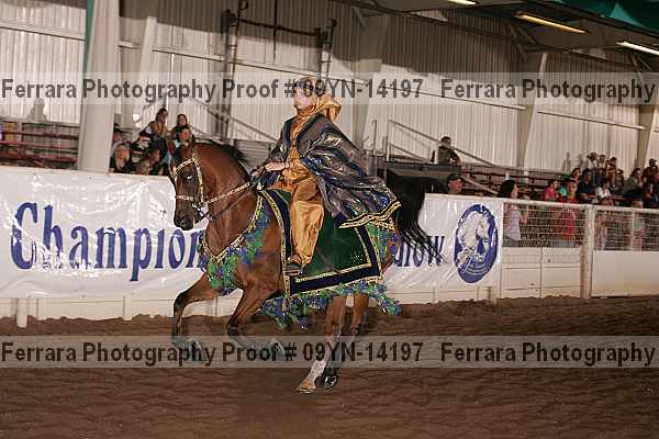 Proof 09yn-14197
