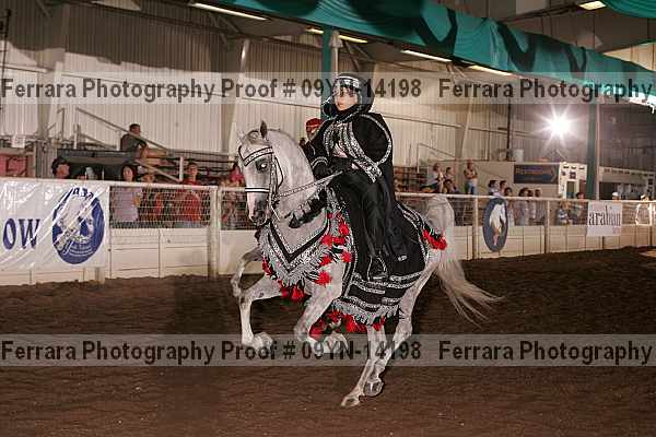 Proof 09yn-14198