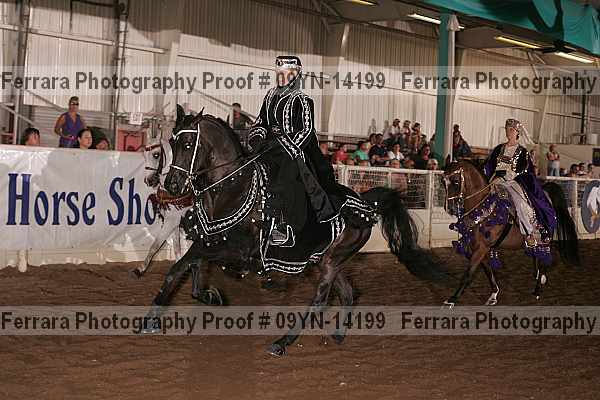 Proof 09yn-14199