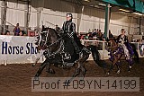 09yn-14199 proof