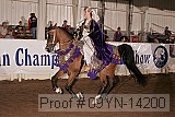 09yn-14200 proof